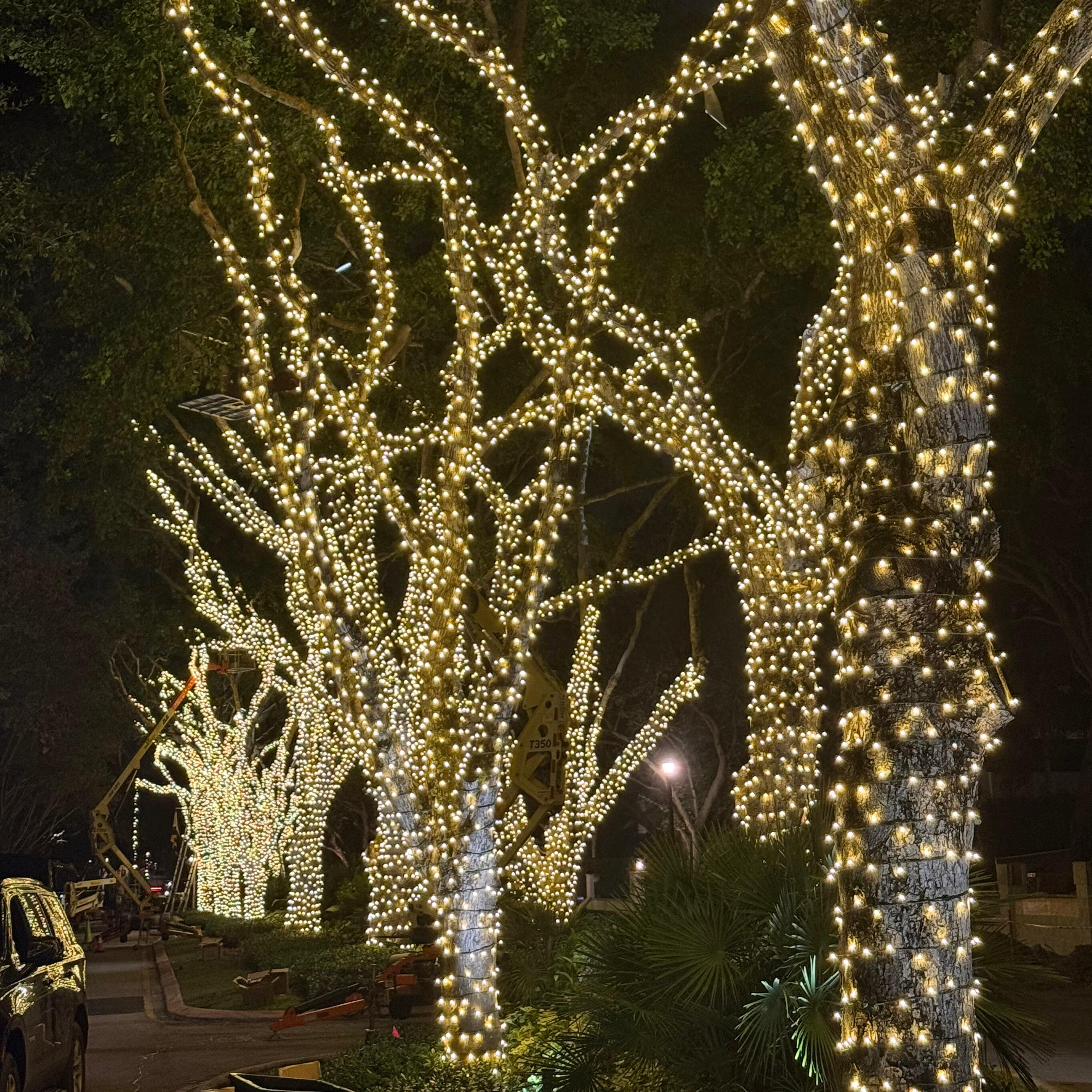Christmas lighting