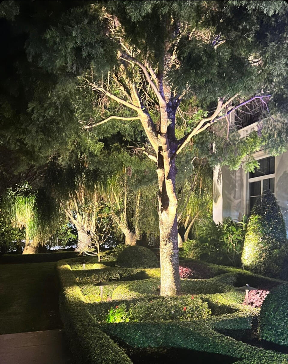 Front elevation lighting